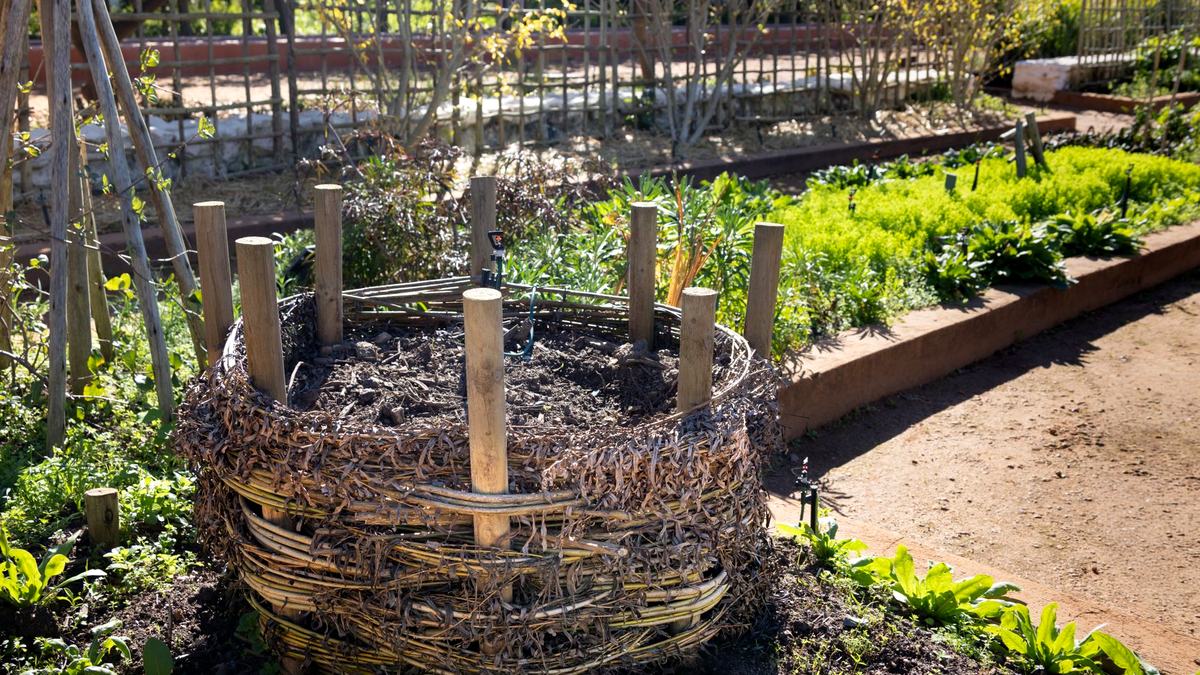 How to Start Composting in a Small Backyard