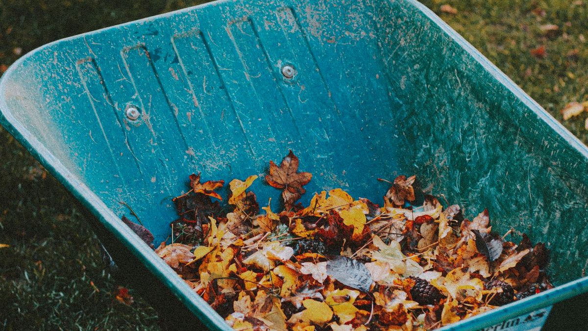 Fall Garden Cleanup Checklist: What to Cut, Leave and Mulch