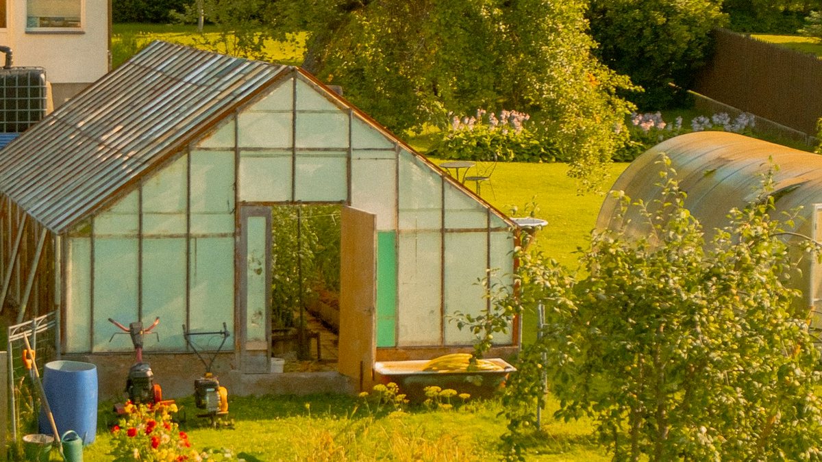 Lean-To Greenhouse Ideas for Small Spaces