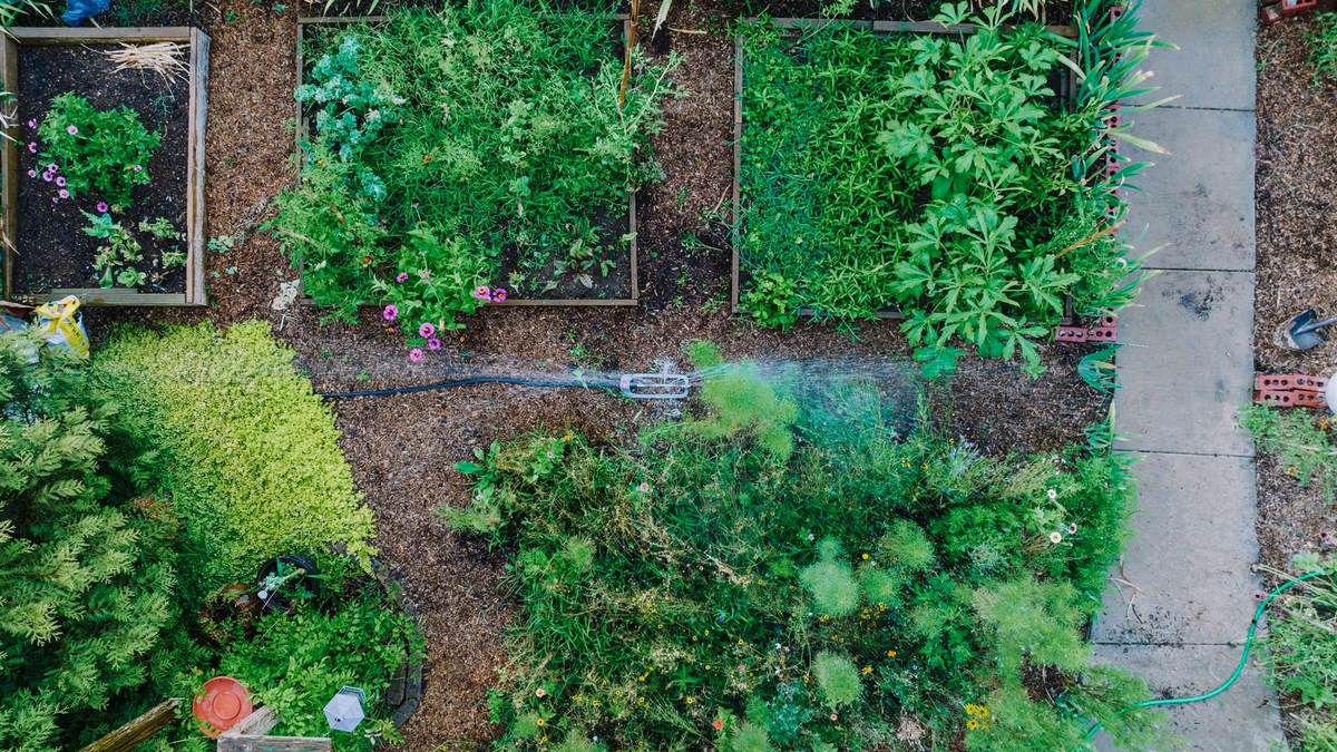 How to Lay Out a Quarter-Acre Backyard Homestead